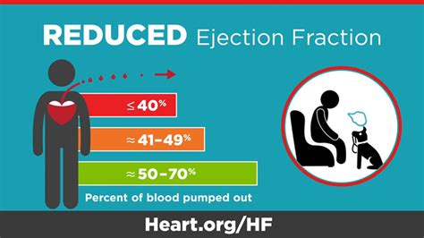 lv failure pdf|best way to increase heart ejection fraction.